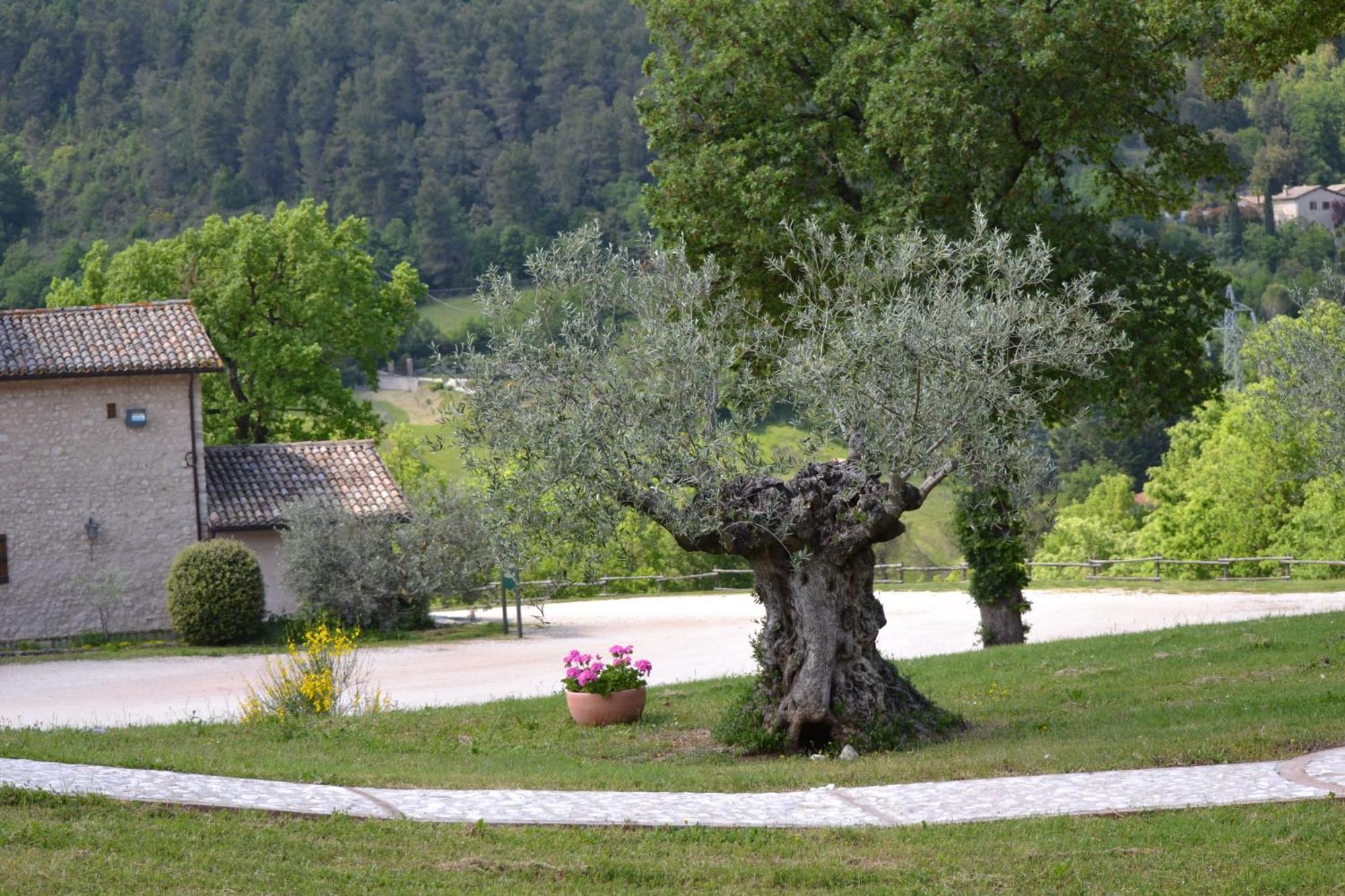 Gasthaus Valle Rosa Spoleto Exterior foto